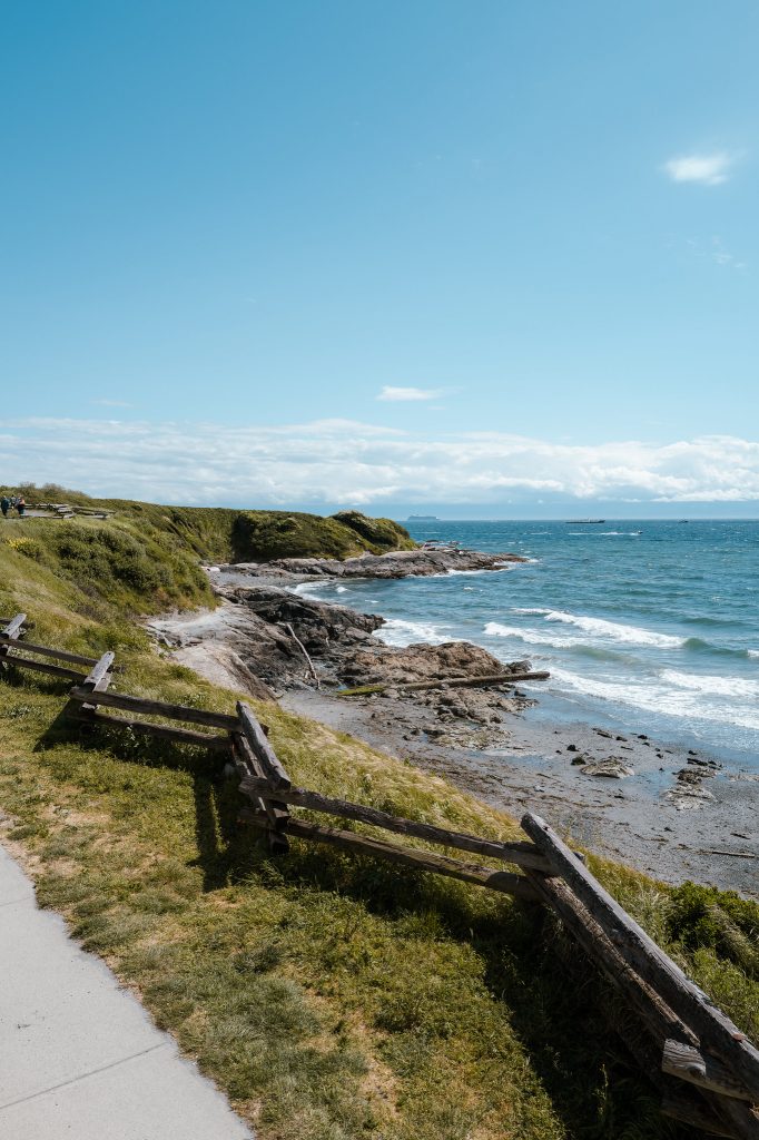 Windswept footpath following a rocky coastline