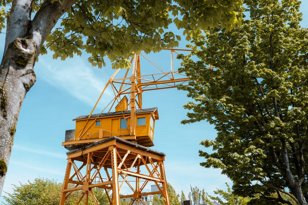 Wooden lookout structure framed by trees and blue sky