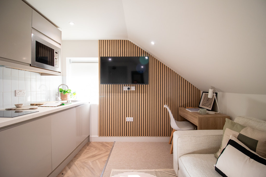 Studio room with kitchenette, television and sofa